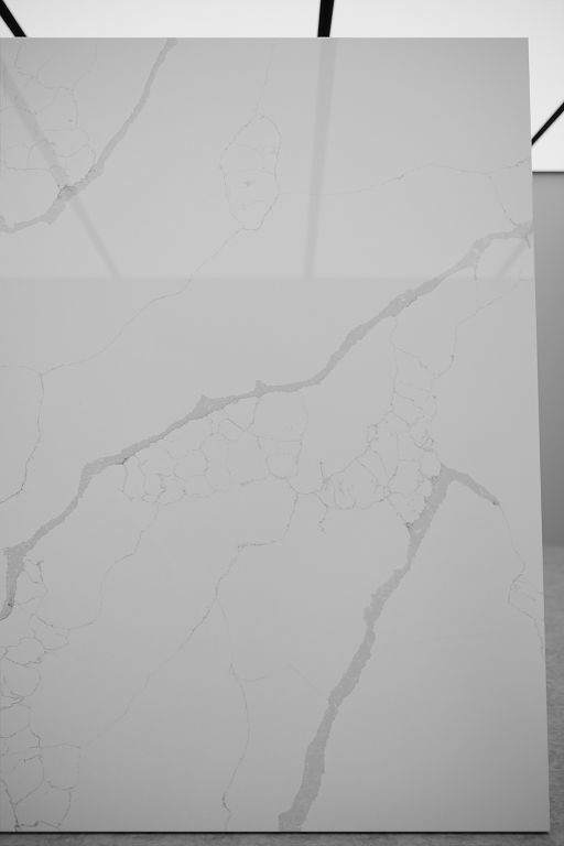 6016 Calacatta Forest