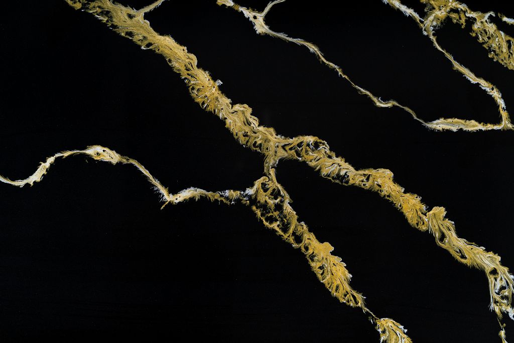 6719 Calacatta Gold Forest