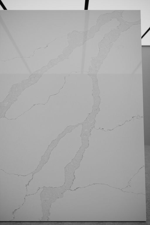 9002 Calatta Evalution