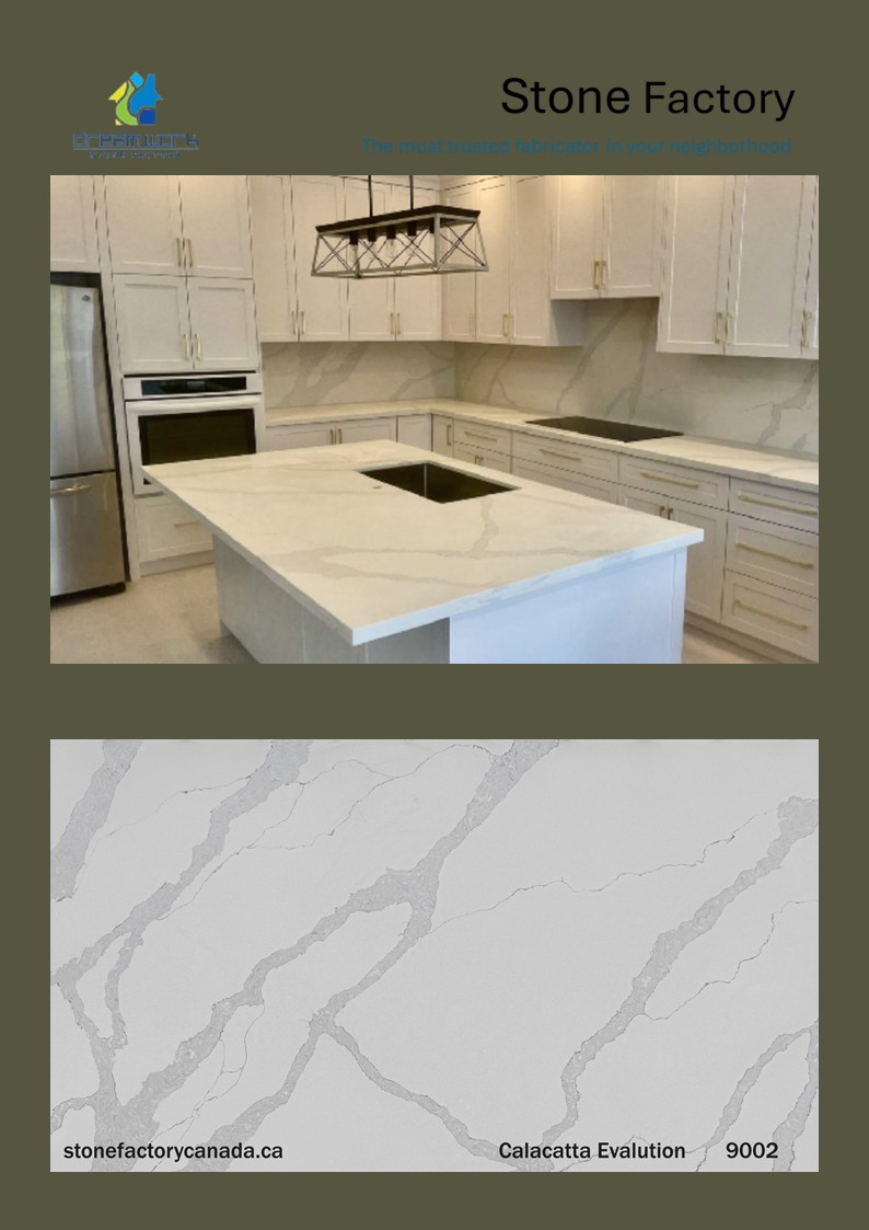 9002 Calatta Evalution